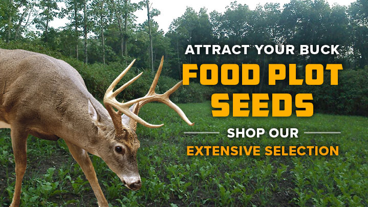 Shop our extensive selection of Food Plot Seeds